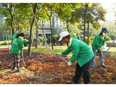 【供應東莞園林綠化養護管理、工業園綠化養護、花草護理圖片】供應東莞園林綠化養護管理、工業園綠化養護、花草護理